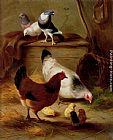 Pigeons And Chickens by Edgar Hunt